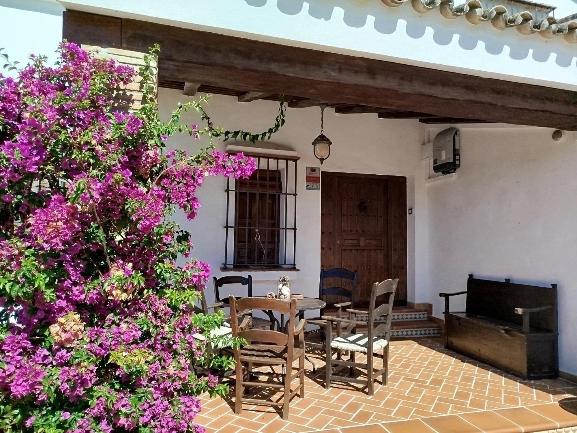 Vila Gran Casa Con Piscina Privada By Chiclana Dreams Chiclana de la Frontera Exteriér fotografie